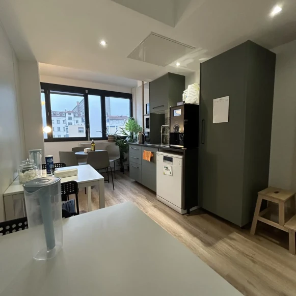 Bureau privé 60 m² 15 postes Coworking Rue Louis Blanc Lyon 69006 - photo 2