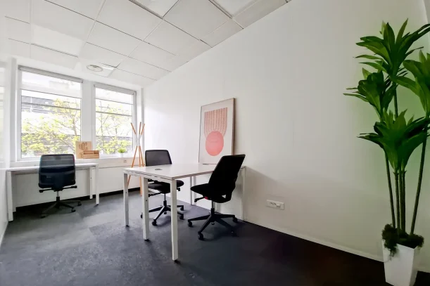 Bureau privé - 67300 - 3 postes - 1060€