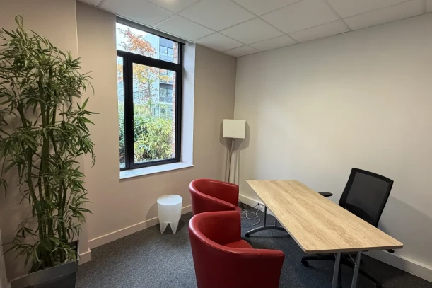 Bureau privé - 69570 - 2 postes - 550€