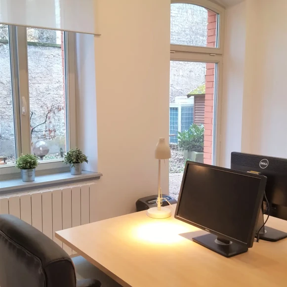 Bureau privé 15 m² 3 postes Location bureau Quai Jacques-Sturm Strasbourg 67000 - photo 2
