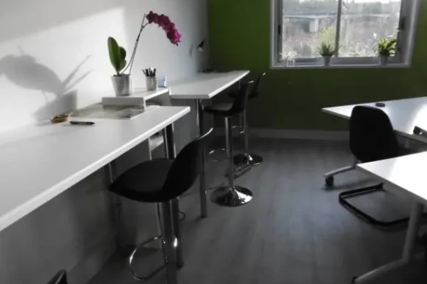 Open Space - 69009 - 10 postes - 230€