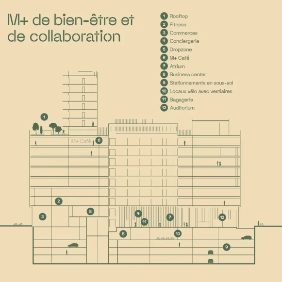 Espace indépendant 300 m² 60 postes Location bureau Rue Garibaldi Lyon 69003 - photo 8