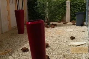 Bureau privé - 33120 - 1 poste - 480€