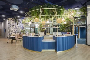 Bureau privé - 59800 - 1 poste - 250€