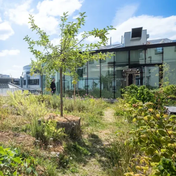 Bureau privé 24 m² 5 postes Coworking Boulevard Voltaire Paris 75011 - photo 1