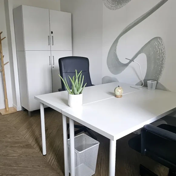 Bureau privé 10 m² 2 postes Location bureau Boulevard Heurteloup Tours 37000 - photo 1