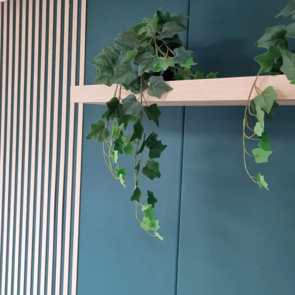 Bureau privé 25 m² 2 postes Coworking Rue du Dronckaert Roncq 59223 - photo 3