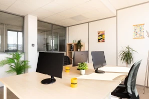 Bureau privé - 69100 - 3 postes - 1050€