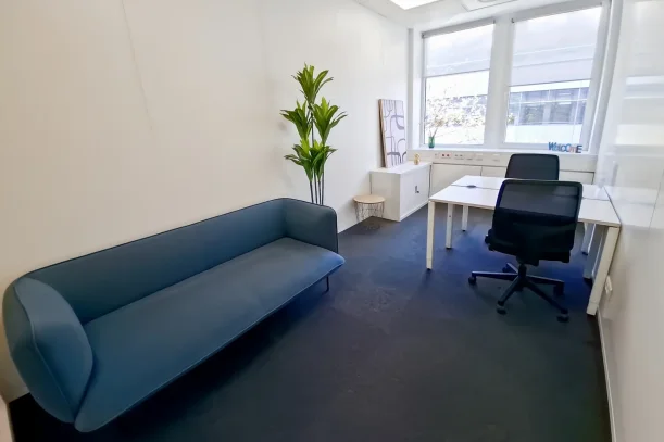 Bureau privé - 67300 - 3 postes - 1060€