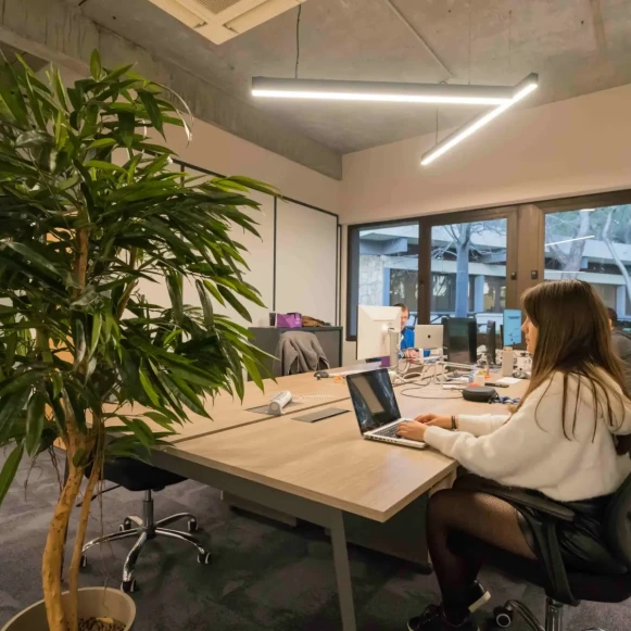 Open Space  3 postes Coworking Route des Dolines Valbonne 06560 - photo 1