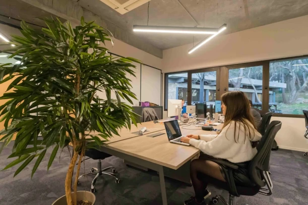 Open Space - 06560 - 3 postes - 330€