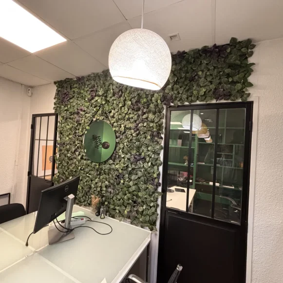 Bureau privé 12 m² 2 postes Location bureau Rue du Faubourg Saint-Honoré Paris 75008 - photo 1
