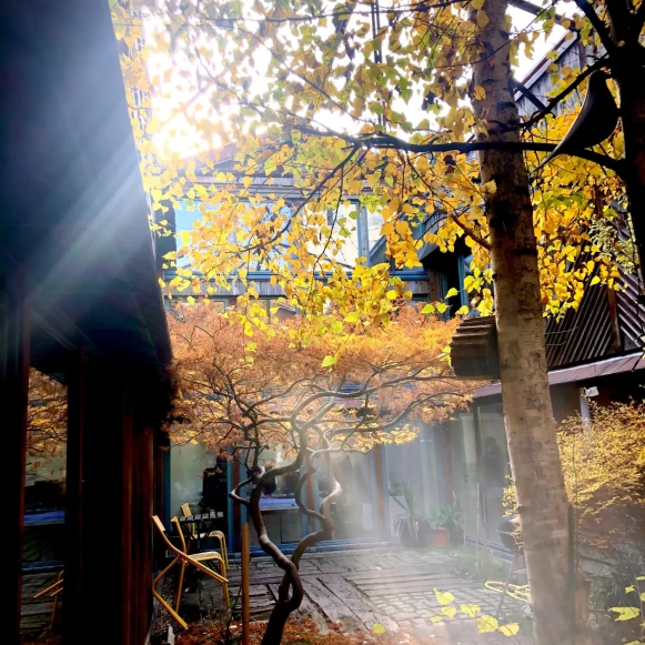 Espace indépendant 55 m² 6 postes Location bureau Rue Edmond Nocard Saint-Maurice 94410 - photo 4