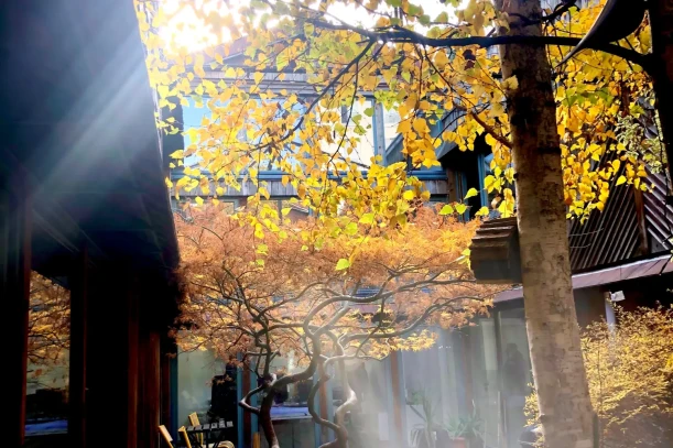 Bureau privé - 94410 - 3 postes - 625€