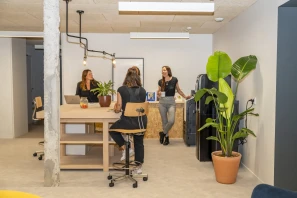 Open Space - 64200 - 10 postes - 350€