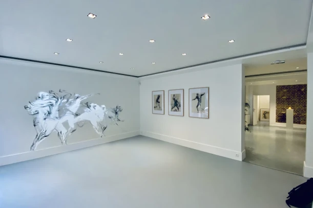 Open Space - 75003 - 1 poste - 350€