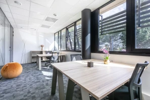 Bureau privé - 06560 - 4 postes - 1373€