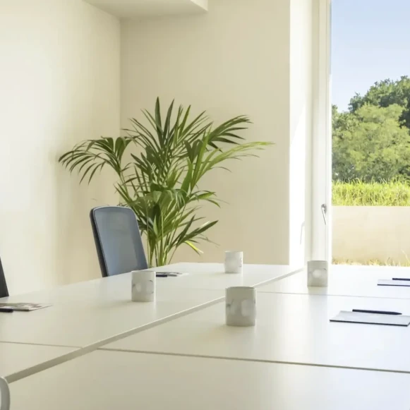 Bureau privé 20 m² 6 postes Coworking Rue Francis Jammes Biarritz 64200 - photo 1