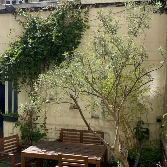 Bureau privé 28 m² 8 postes Location bureau Rue Myrha Paris 75018 - photo 4