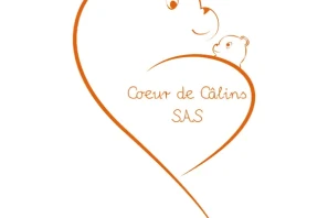 Bureau privé - 13720 - 1 poste - 200€