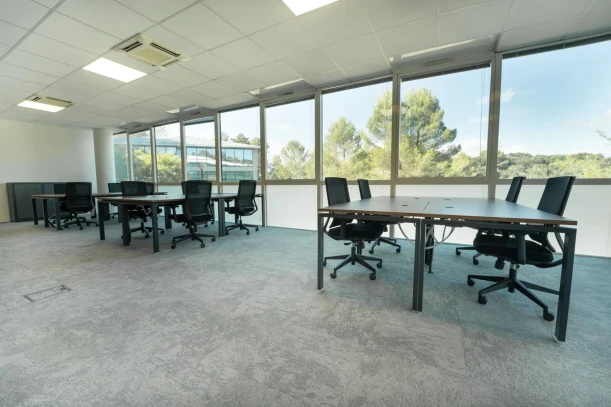 Bureau privé - 06410 - 8 postes - 2800€