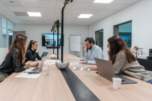 Bureau privé - 38240 - 20 postes - 3411€