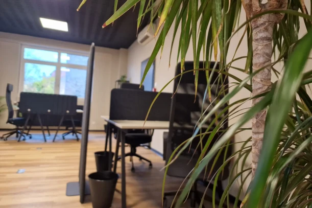 Open Space - 67600 - 6 postes - 110€