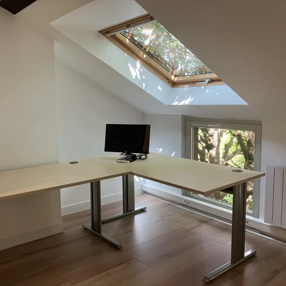 Bureau privé 10 m² 2 postes Location bureau Quai Jacques-Sturm Strasbourg 67000 - photo 1