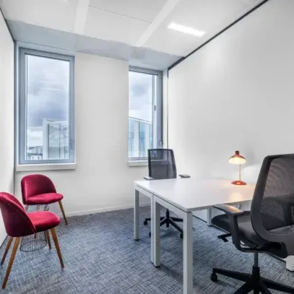 Bureau privé 12 m² 3 postes Coworking Esplanade Miriam Makeba Villeurbanne 69100 - photo 6