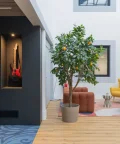 Bureau privé - 06560 - 3 postes - 1090€
