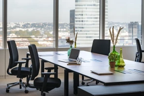 Bureau privé - 69003 - 25 postes - 15000€
