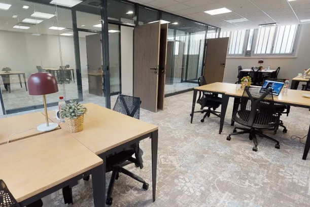 Bureau privé - 06000 - 11 postes - 3091€
