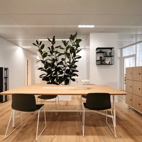 Bureau privé 20 m² 6 postes Coworking Rue du Colonel Pierre Avia Paris 75015 - photo 1