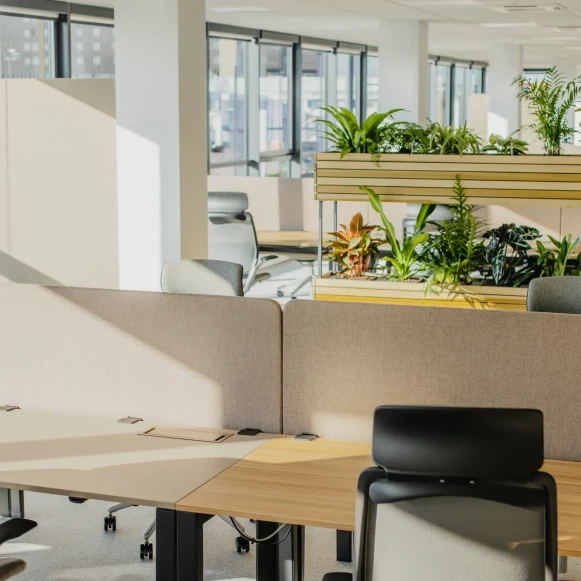 Bureau privé 20 m² 2 postes Coworking Rue Alain Fournier Toulouse 31300 - photo 1