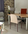 Bureau privé - 87000 - 1 poste - 590€