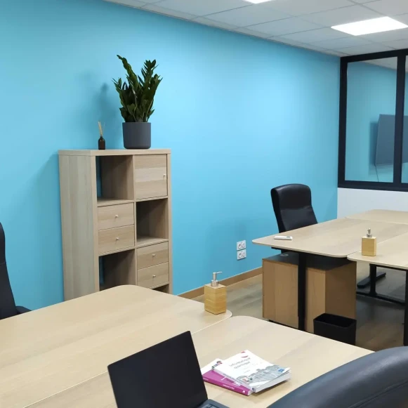 Bureau privé 50 m² 6 postes Location bureau Route de Vienne Lyon 69007 - photo 5