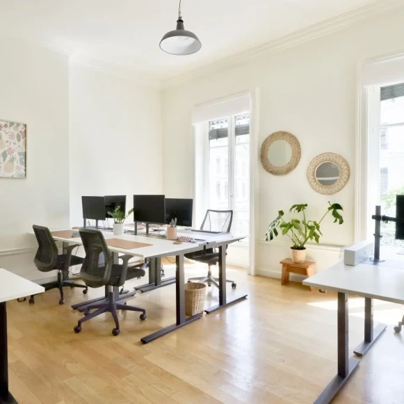 Bureau privé 135 m² 18 postes Coworking Rue de la République Lyon 69001 - photo 3