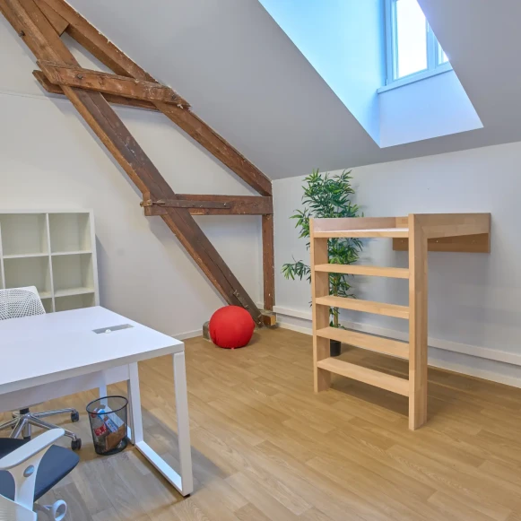 Bureau privé 17 m² 6 postes Coworking Cour des Cigarières Strasbourg 67000 - photo 3