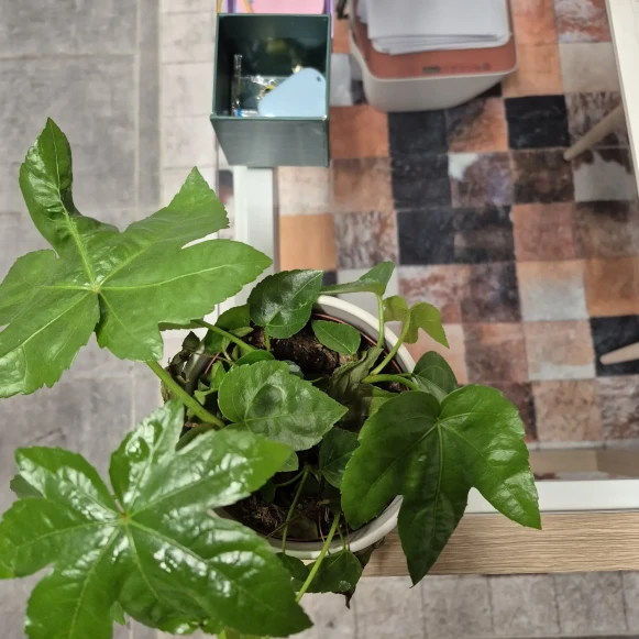 Open Space  5 postes Location bureau Rue Joseph Bertola Valserhône 01200 - photo 4