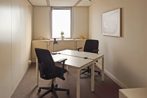 Bureau privé - 67000 - 2 postes - 980€