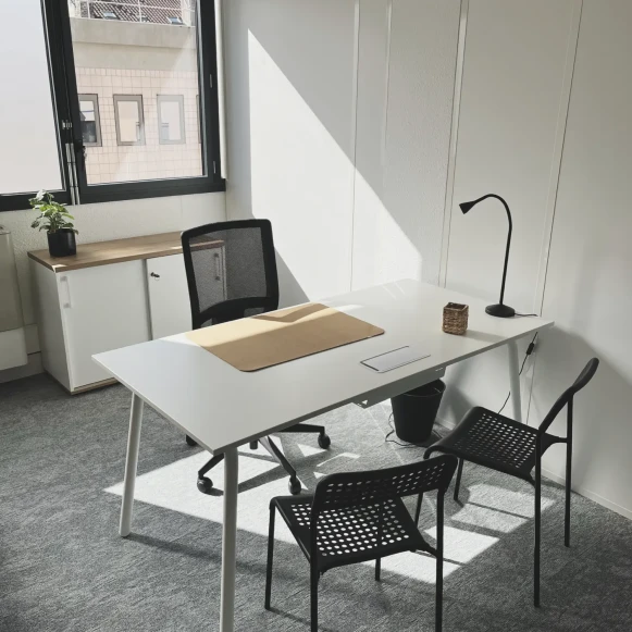 Bureau privé 350 m² 35 postes Coworking Rue Louis Blanc Lyon 69006 - photo 2