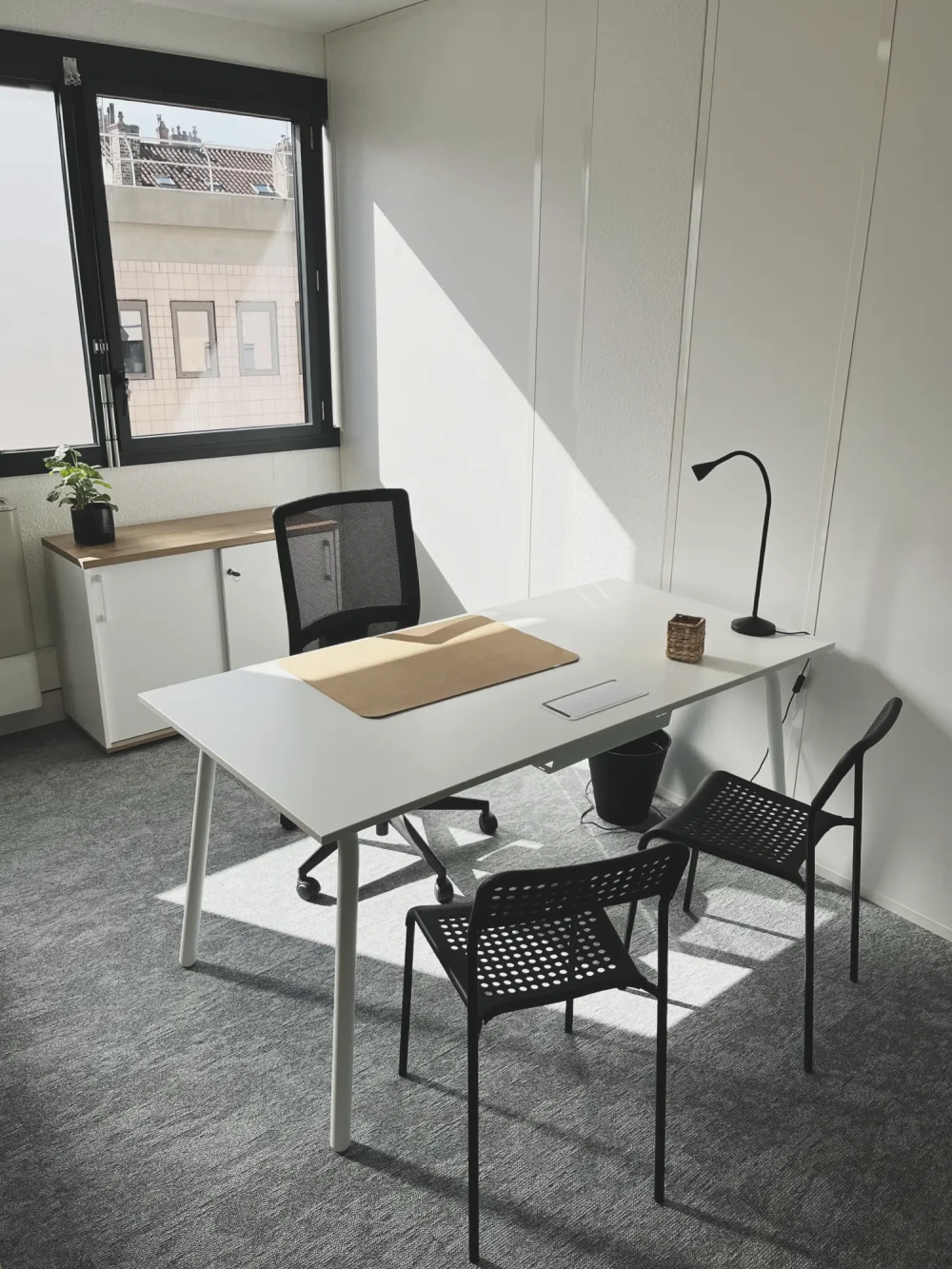 Bureau privé - 69006 - 35 postes - 13440€