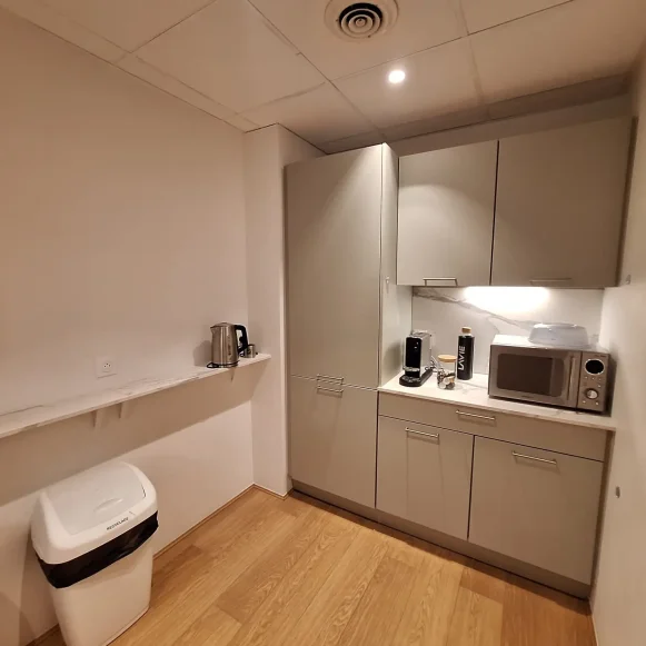 Bureau privé 27 m² 6 postes Coworking Avenue de Messine Paris 75008 - photo 11