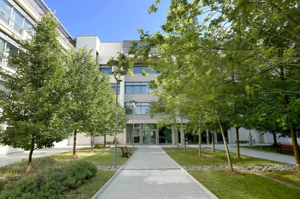 Hiptown Stade de France