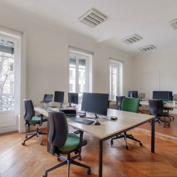 Espace indépendant 95 m² 12 postes Location bureau Rue de la République Lyon 69001 - photo 1
