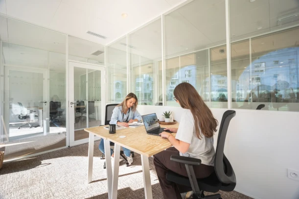 Bureau privé - 59650 - 2 postes - 560€