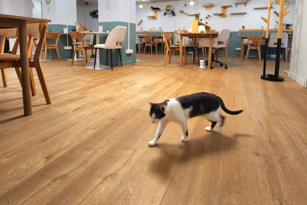 Open Space - 75012 - 20 postes - 350€