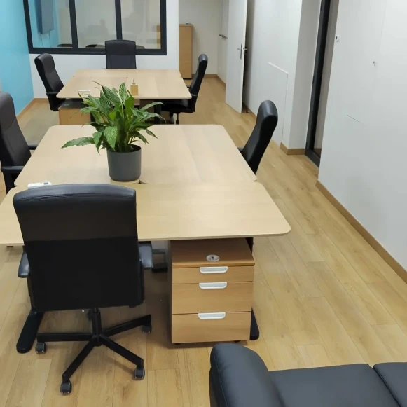 Bureau privé 50 m² 6 postes Location bureau Route de Vienne Lyon 69007 - photo 6