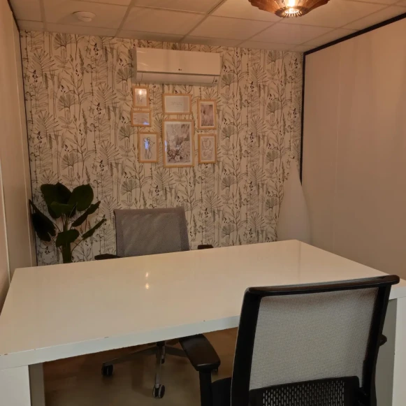 Bureau privé 12 m² 4 postes Coworking Rue Henri de Châtelier Pessac 33600 - photo 2