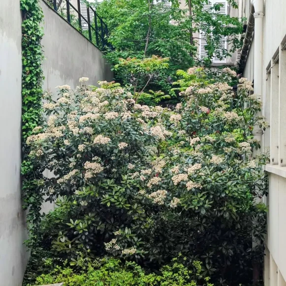 Bureau privé 15 m² 3 postes Location bureau Rue Saint-Lazare Paris 75009 - photo 9